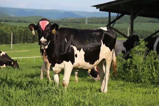 20181023153772507250