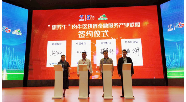 20210802101050015001