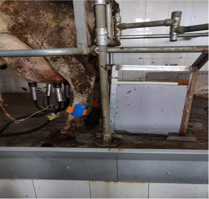 20211130102526202620 304amÓÀÀû¼¯ÍÅ¡¤(Öйú)ÓÐÏÞ¹«Ë¾¹ÙÍø