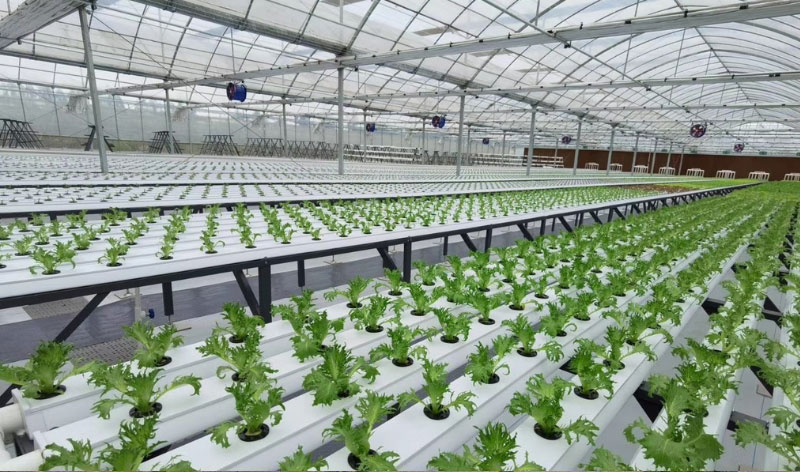 20220408171426112611 304amÓÀÀû¼¯ÍÅ¡¤(Öйú)ÓÐÏÞ¹«Ë¾¹ÙÍø