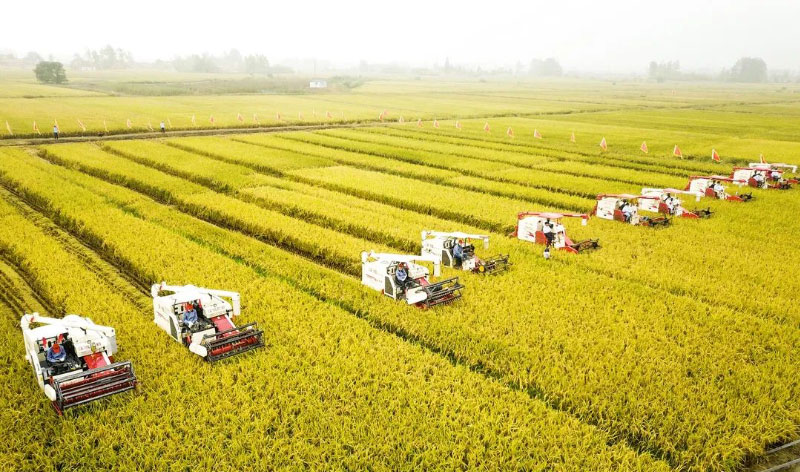 20220408171453705370 304amÓÀÀû¼¯ÍÅ¡¤(Öйú)ÓÐÏÞ¹«Ë¾¹ÙÍø